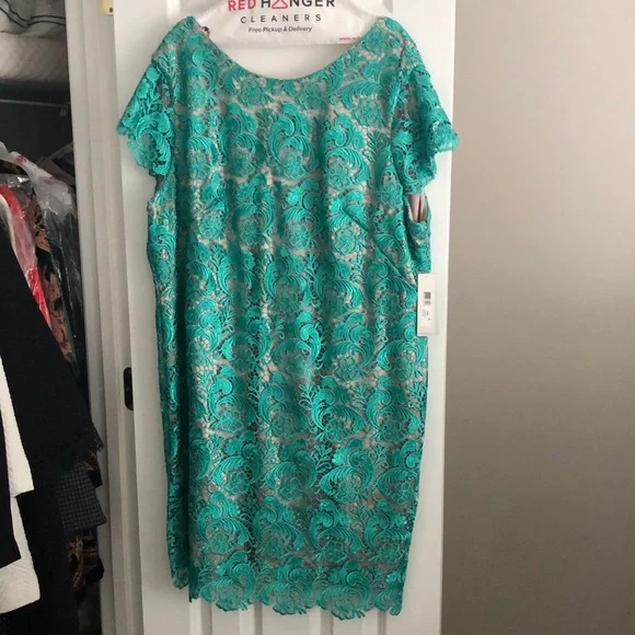 Eliza J lace dress in Gem Green - Picture 1 of 5